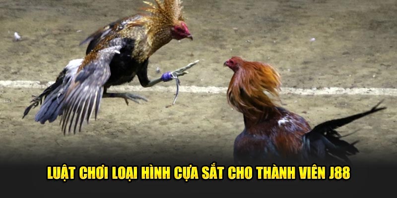 Luật chơi loại hình cựa sắt cho thành viên J88